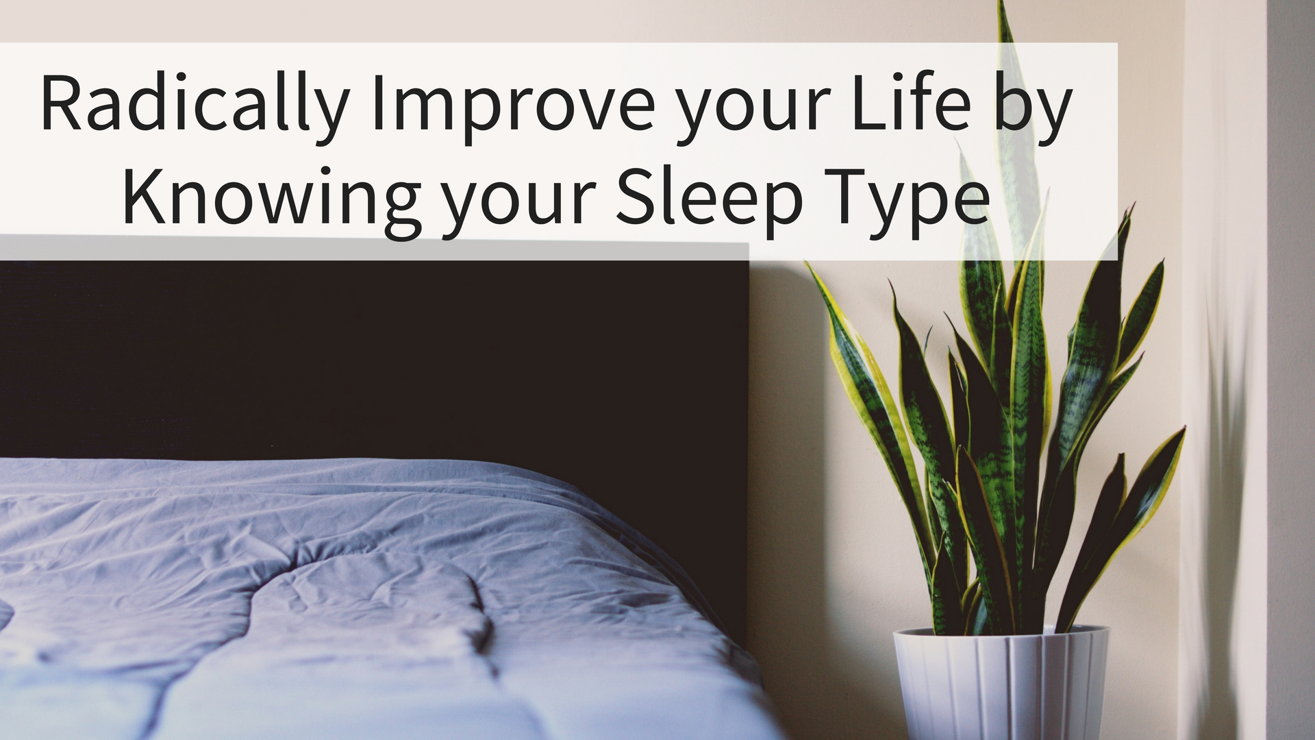 Radically Improve your Life by Knowing your Sleep Type